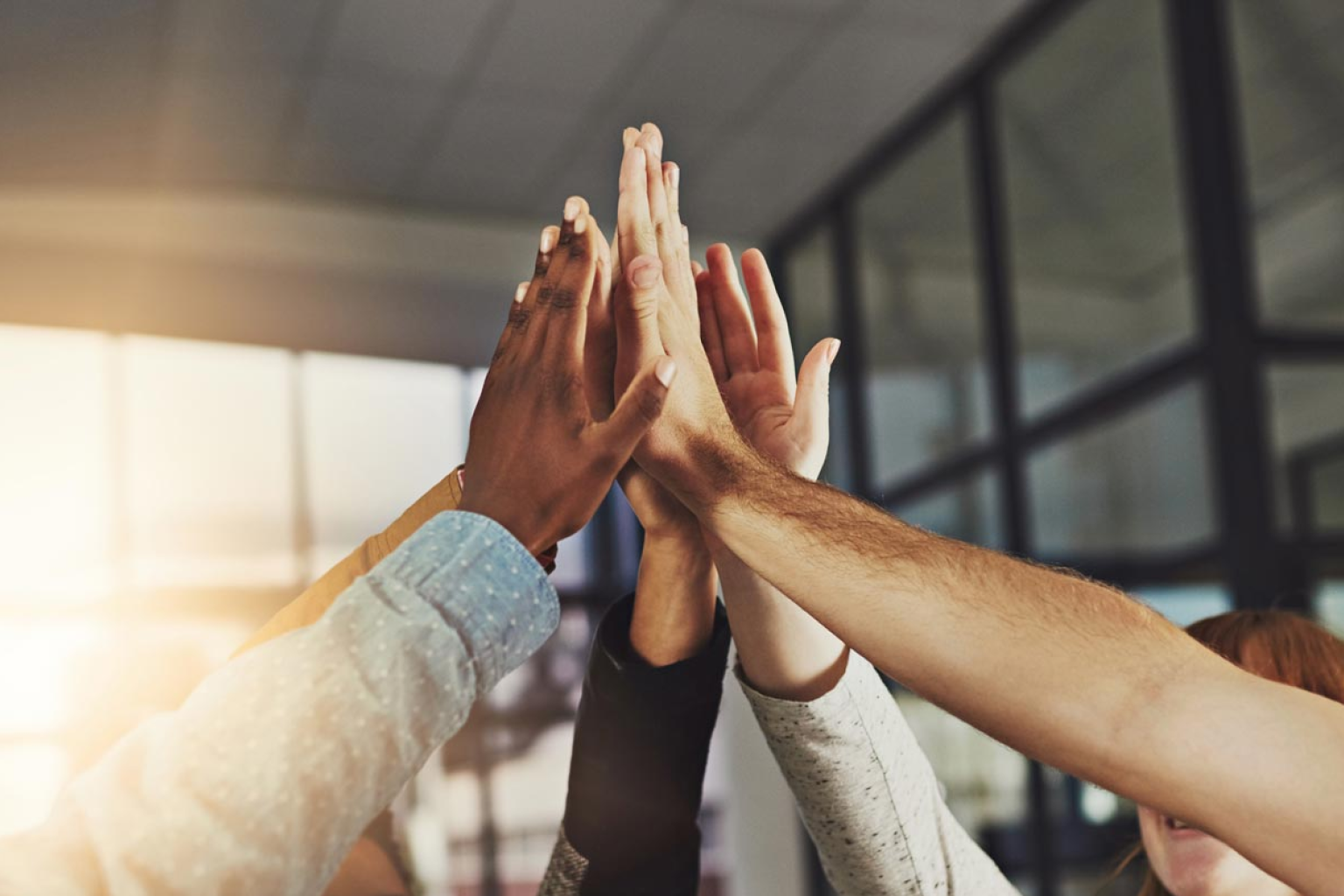 Diverse group of people giving a high-five in an office setting, symbolizing team unity and celebration